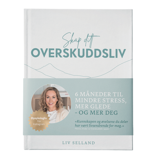 Skap ditt Overskuddsliv - 6 måneder til mindre stress, mer glede – og mer deg